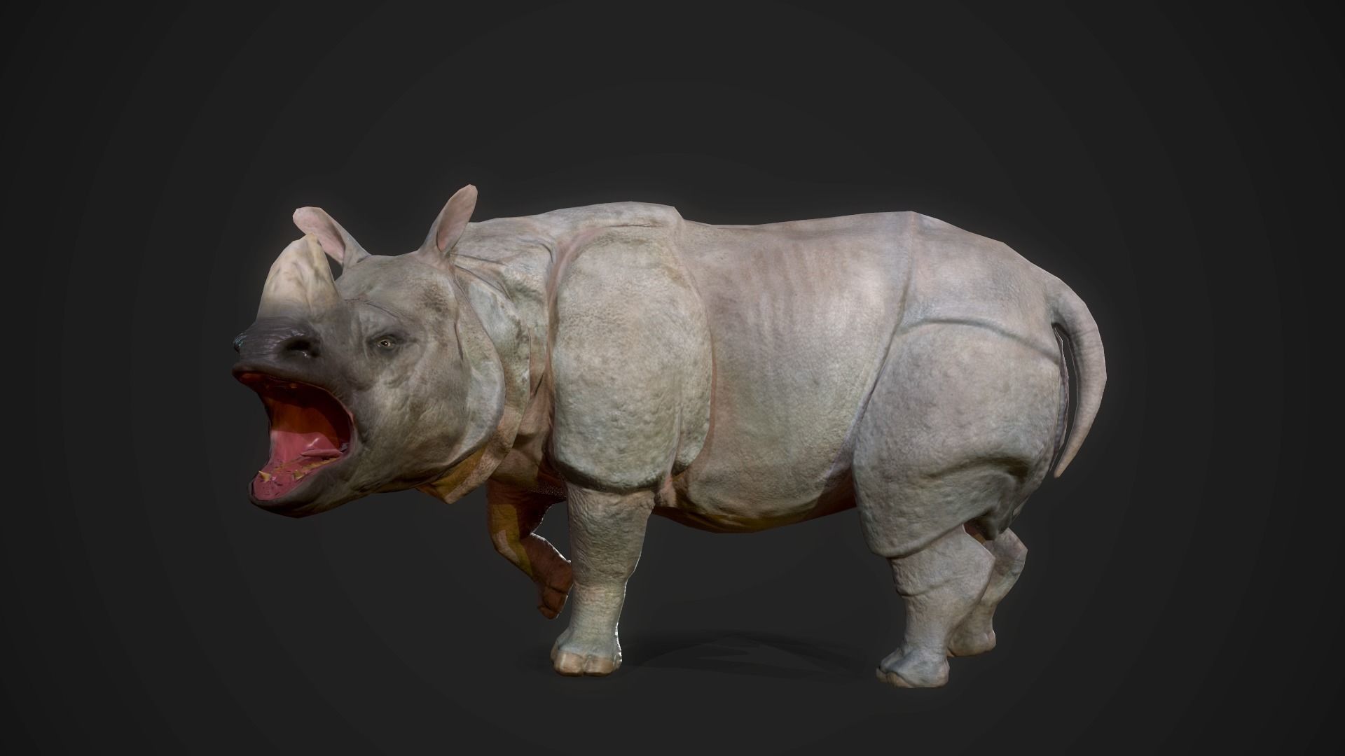Indian Rhinoceros - Game Ready Low-poly 3D model_8