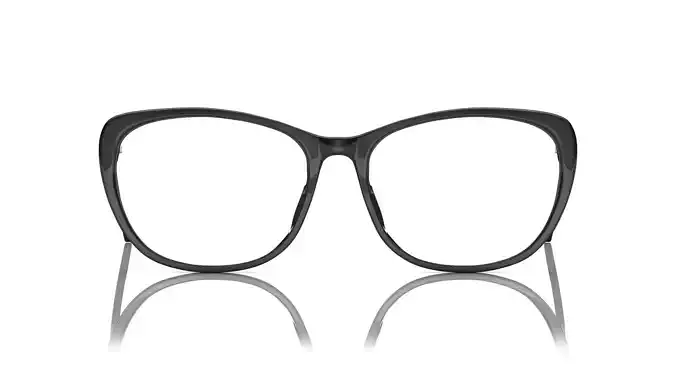Eyeglasses for Men and Women 3D print model
