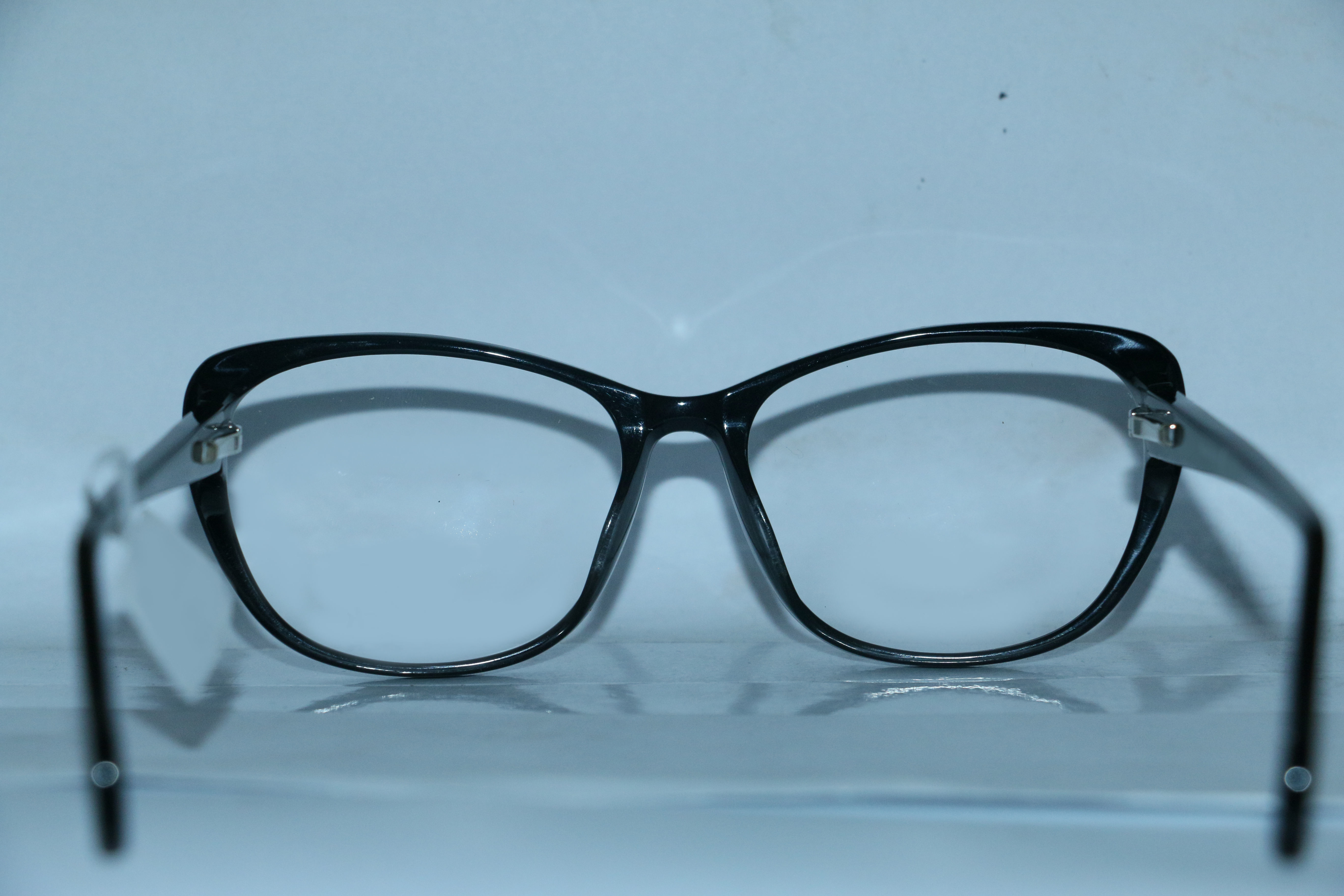 Eyeglasses for Men and Women 3D print model_6