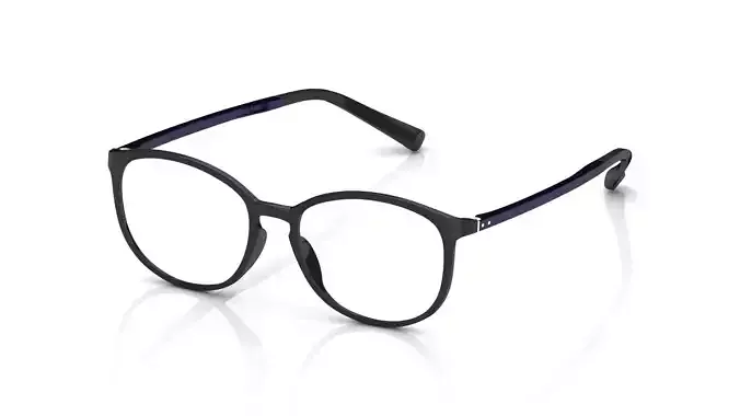 Eyeglasses for Men and Women 3D print model