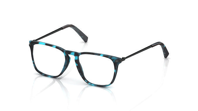 Eyeglasses for Men and Women 3D print model