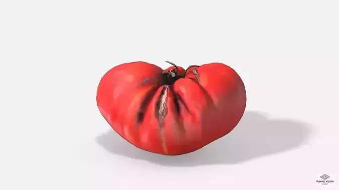 Vegetable Tomato - Photoscanned PBR