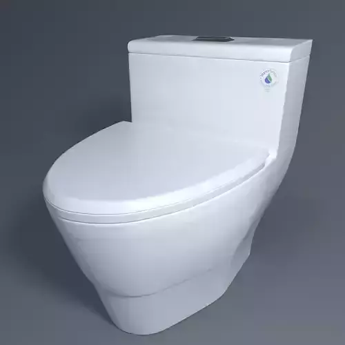 Toilet-WOODBRIDGE T-0019