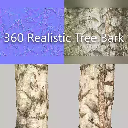 360 Tree Bark 6 Low-poly 3D model