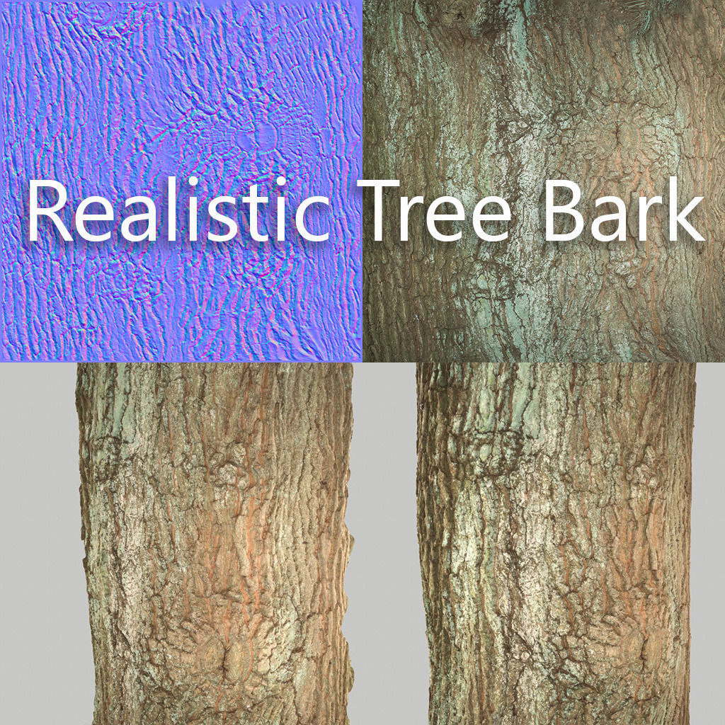 Tree Bark 5 Low-poly 3D model_5