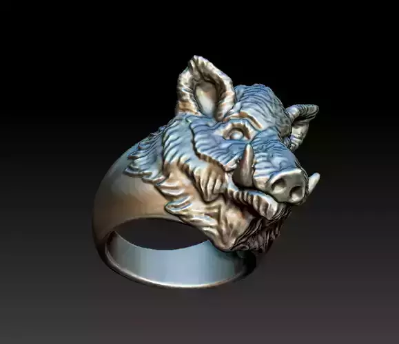 Boar ring 3D print model