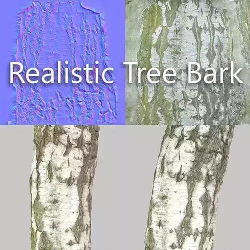 Tree Bark 7 3D model