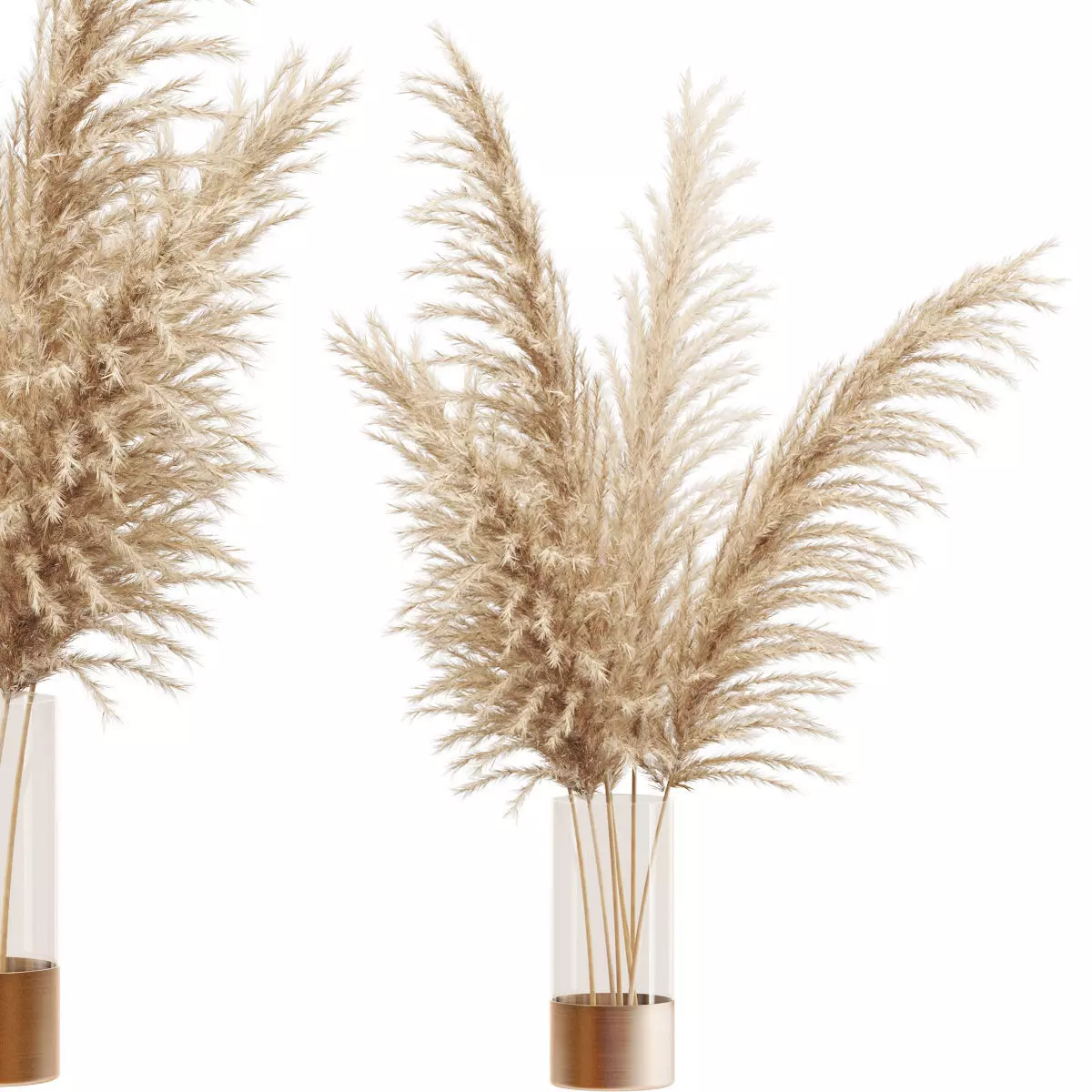 Dried flower pampas grass in glass gold vase 3D model