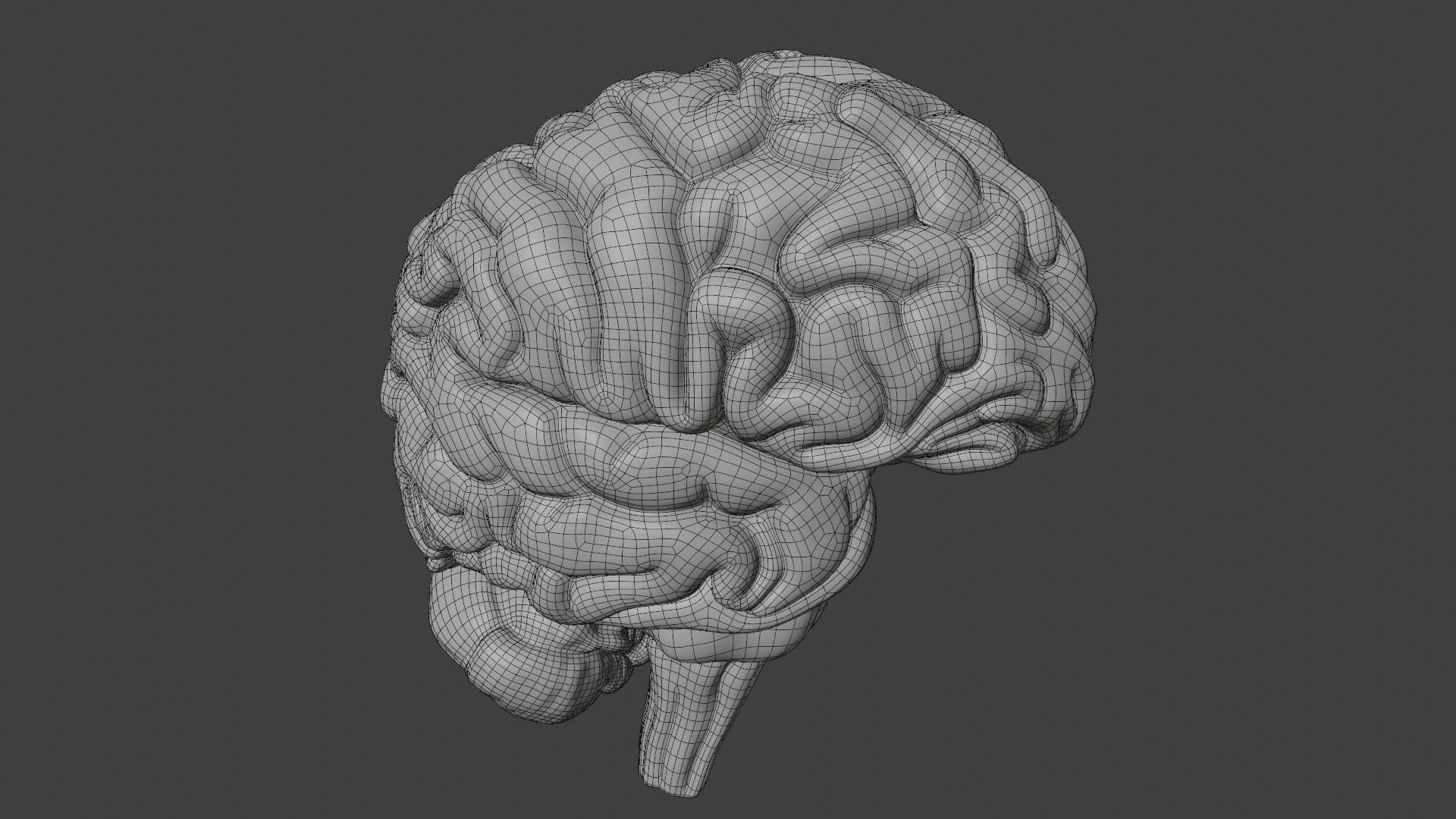 High Resolution 8k Human Brain System Pack 3D model | CGTrader
