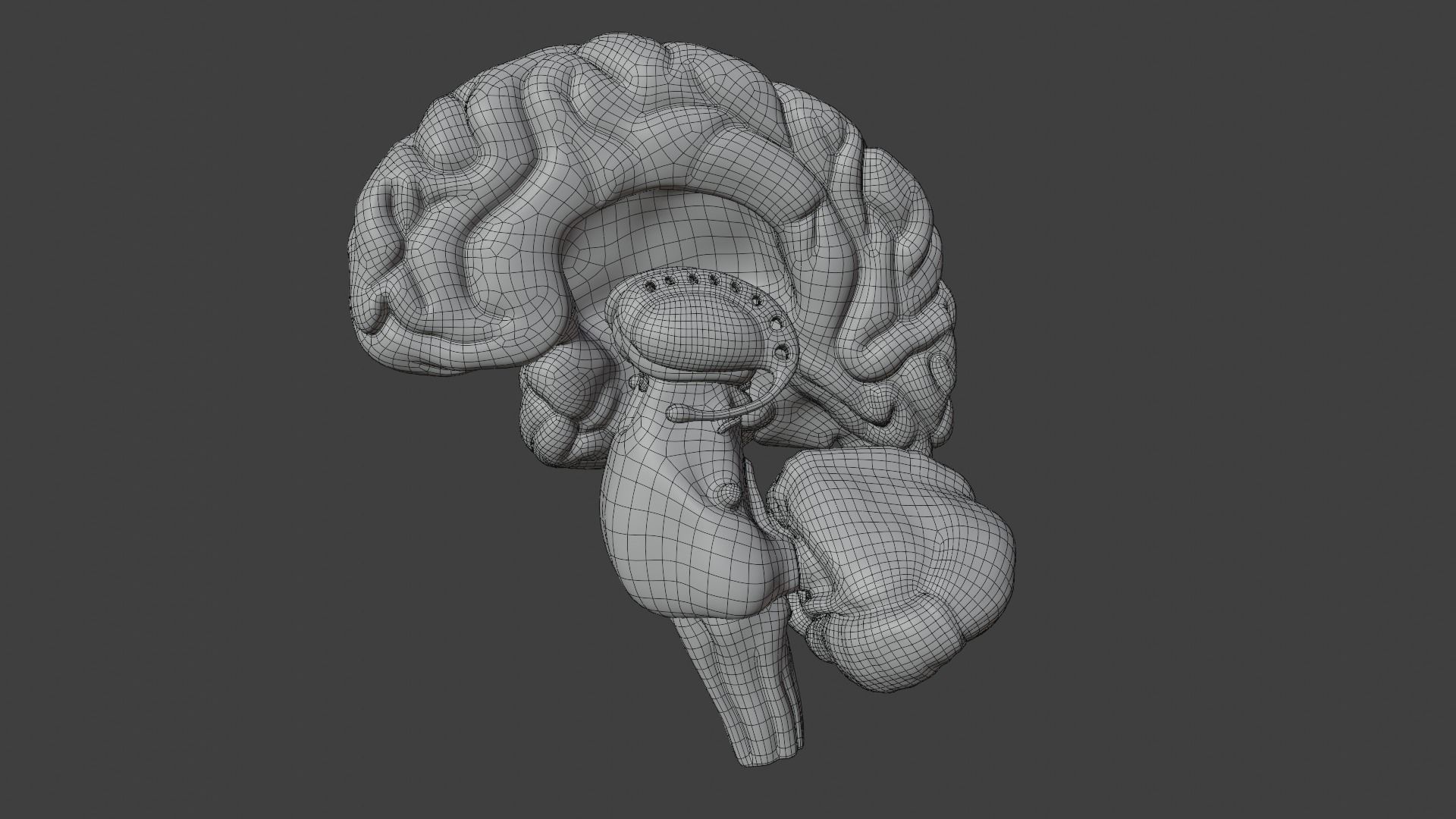 High Resolution 8k Human Brain System Pack 3D model | CGTrader