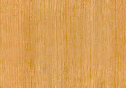 building the garden 3D model_11