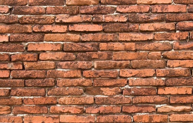 building the garden 3D model_9