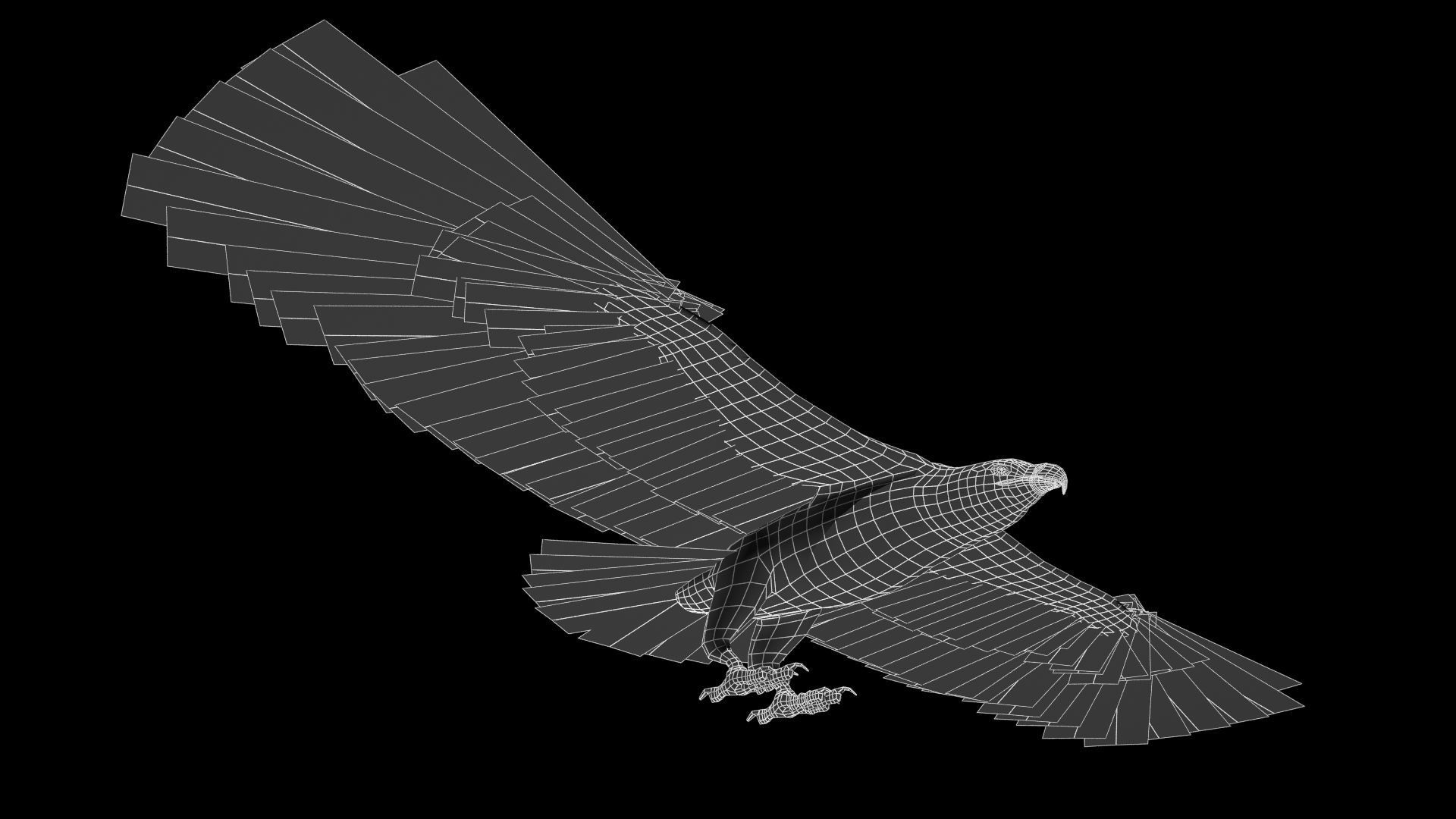 White-tailed Eagle Low-poly 3D model_16