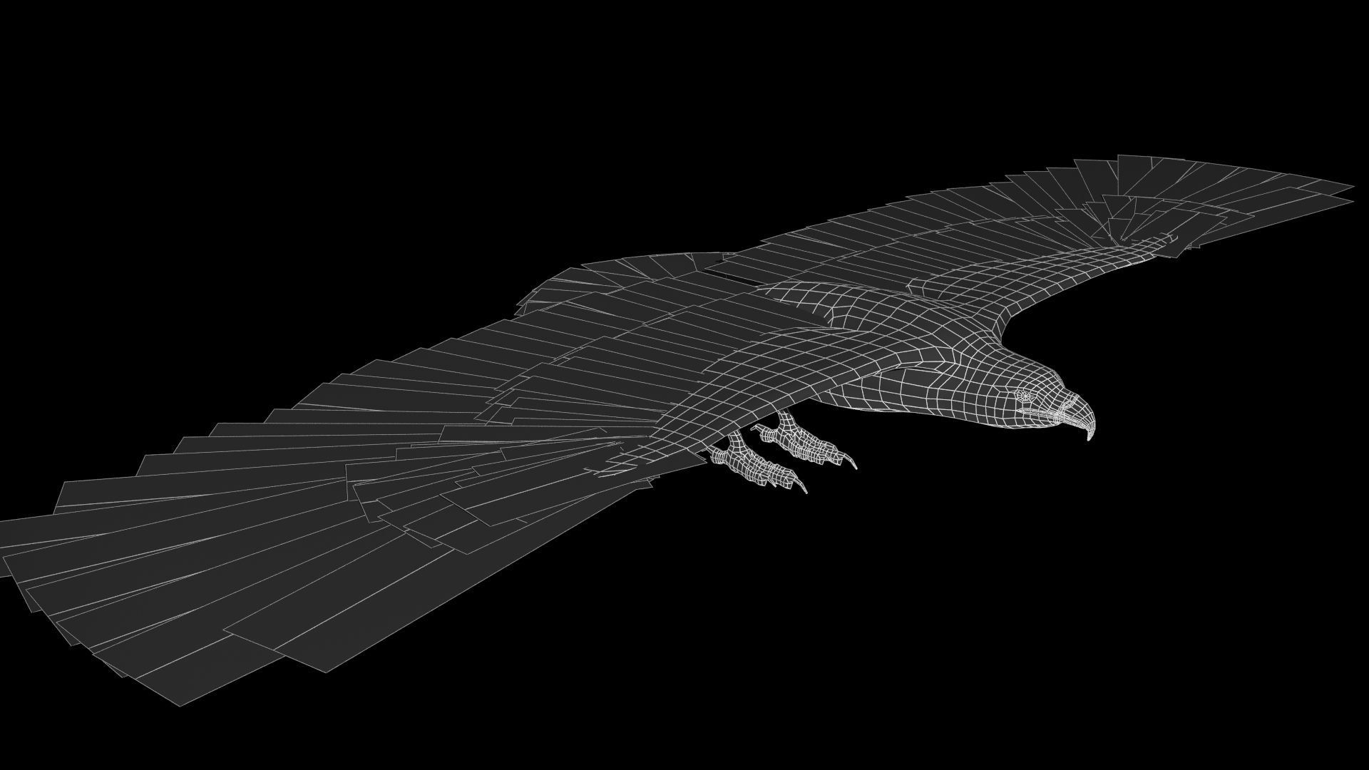 White-tailed Eagle Low-poly 3D model_15