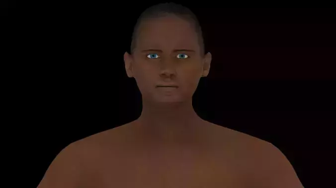 Model 14 male nude mannequin