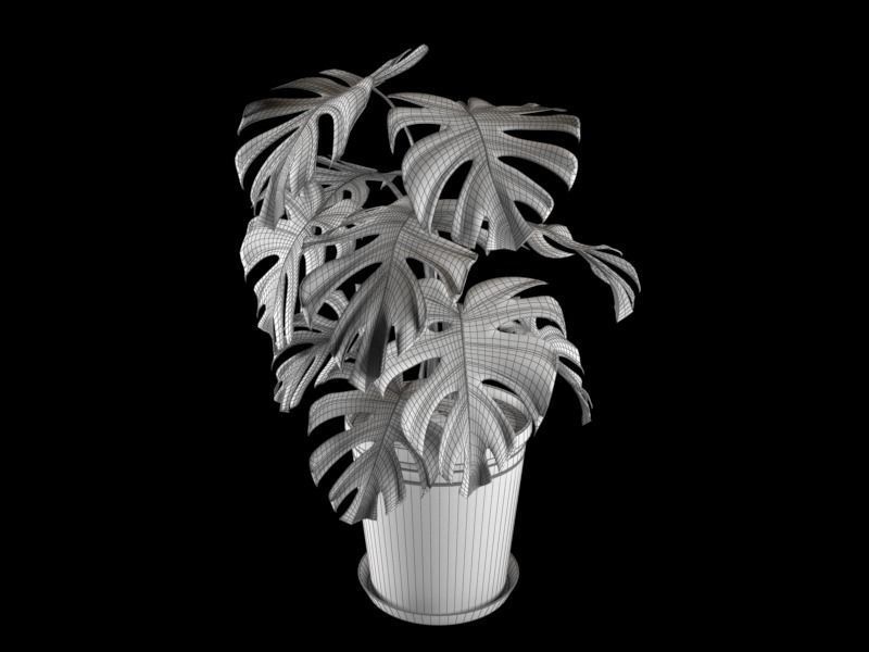 Monstera plant in pot 3D model_5