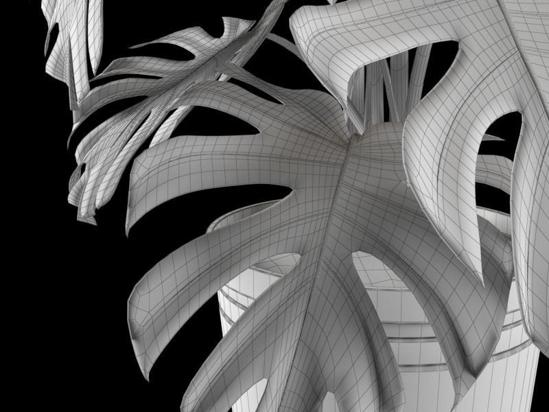 Monstera plant in pot 3D model_7