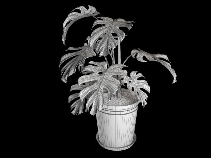 Monstera plant in pot 3D model_6