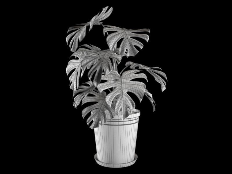 Monstera plant in pot 3D model_4