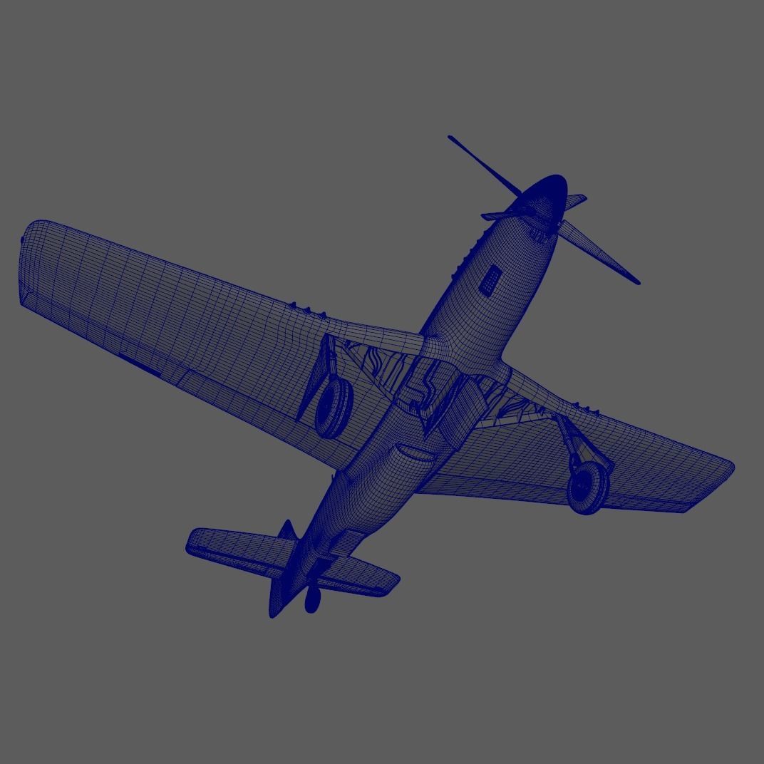 p51D Mustang - High Quality WW2 Warbird 3D model_16