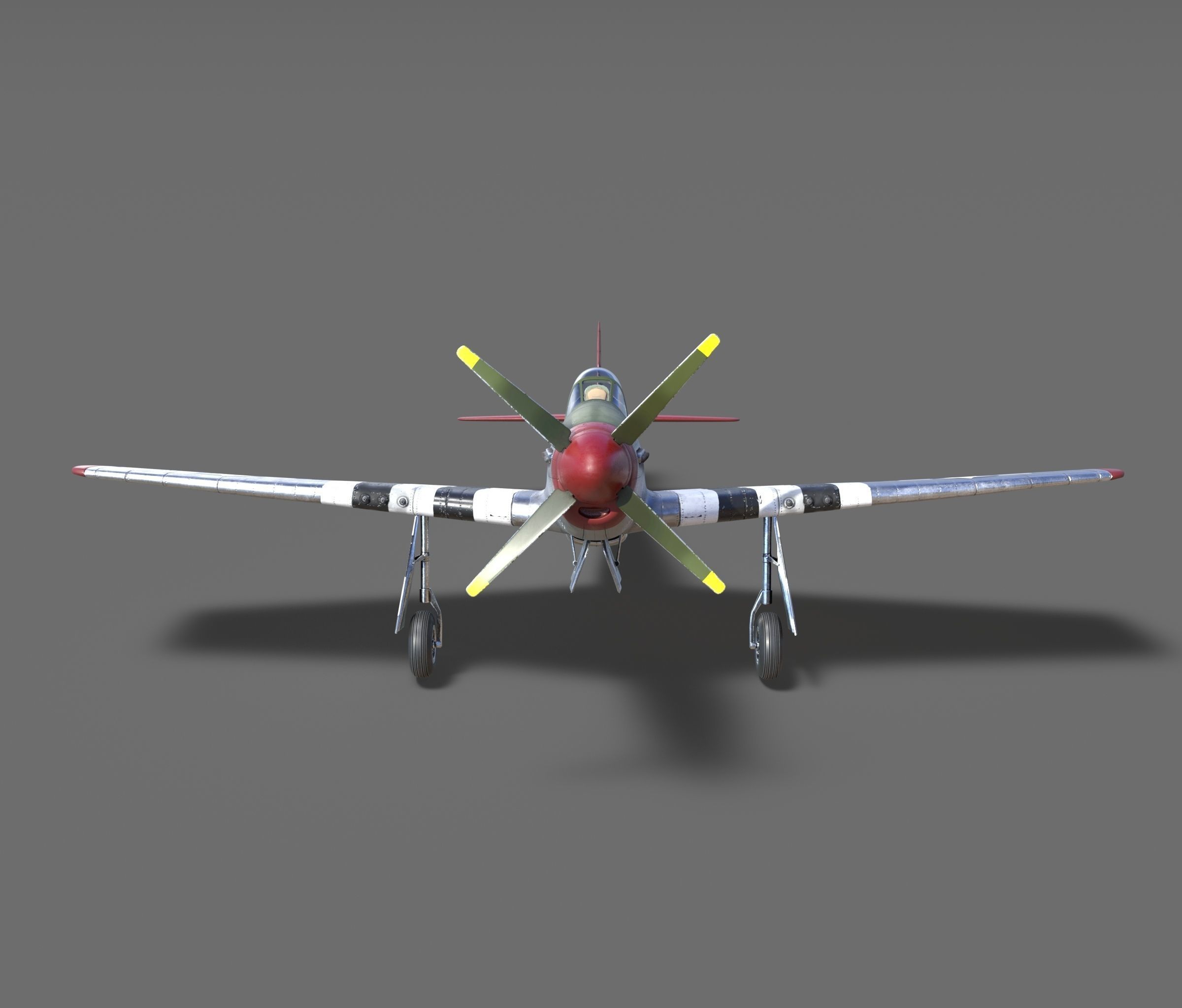 p51D Mustang - High Quality WW2 Warbird 3D model_4