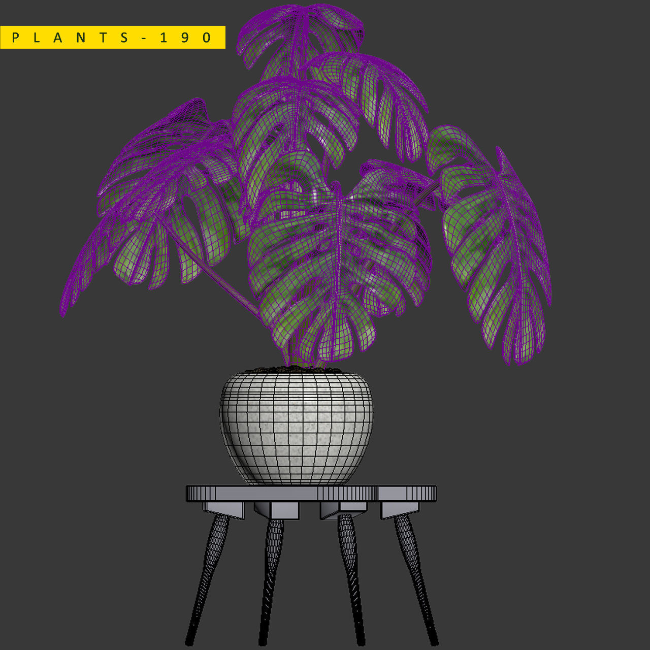 PLANTS 190 3D model_5