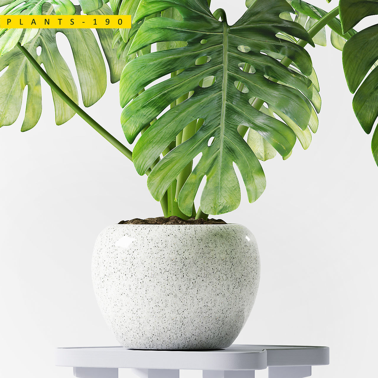 PLANTS 190 3D model_2