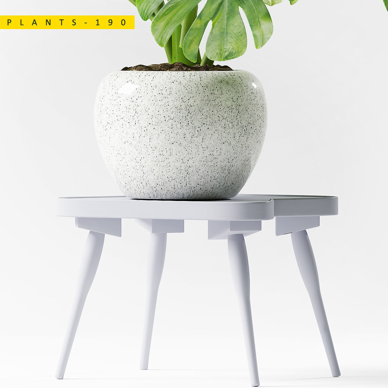 PLANTS 190 3D model_3