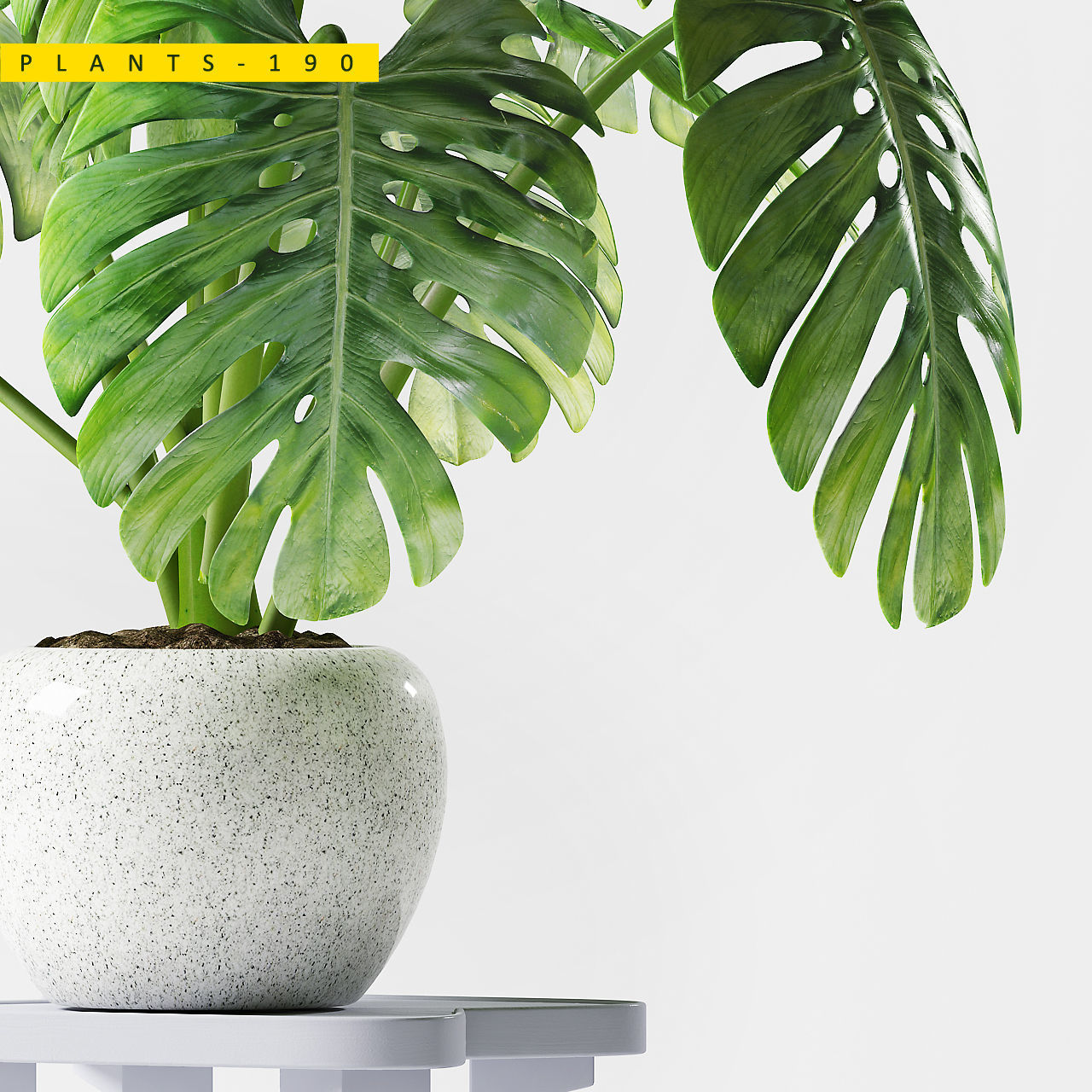 PLANTS 190 3D model_1