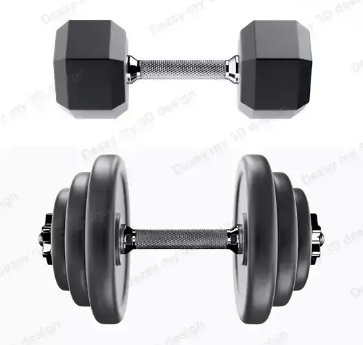 Set of dumbbells for sports 3D model