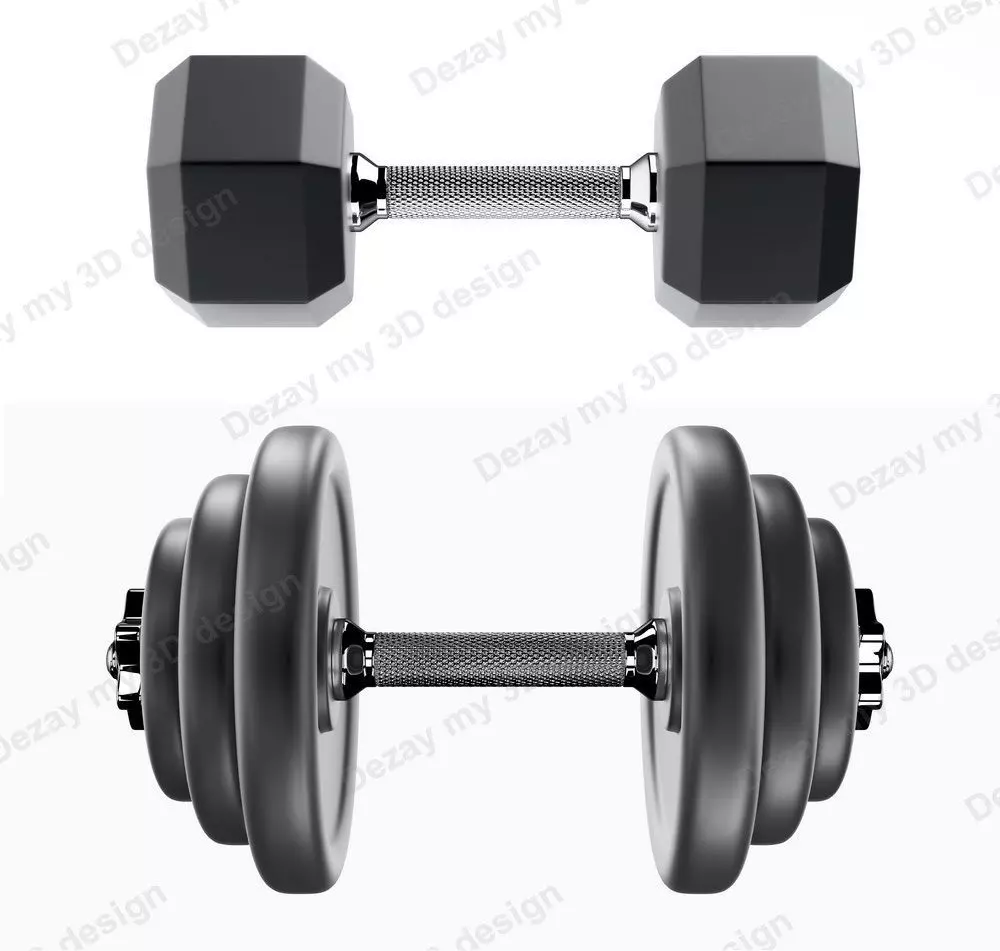 Set of dumbbells for sports 3D model_0