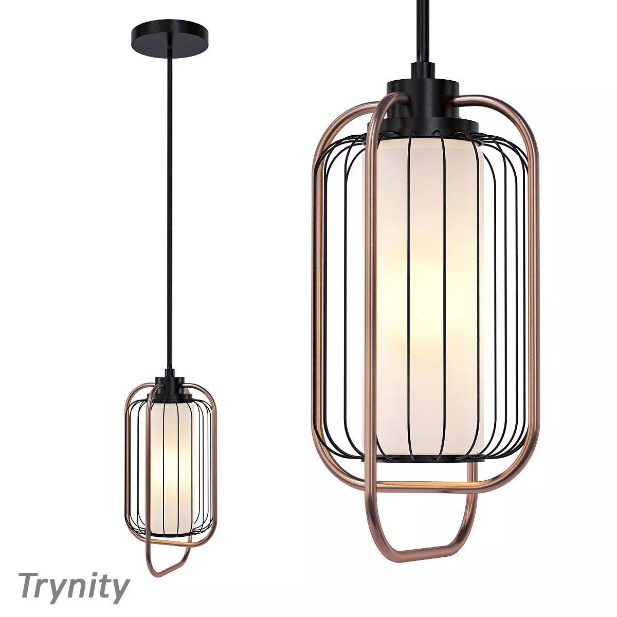 trynity pendant light with cage and glass 3D model
