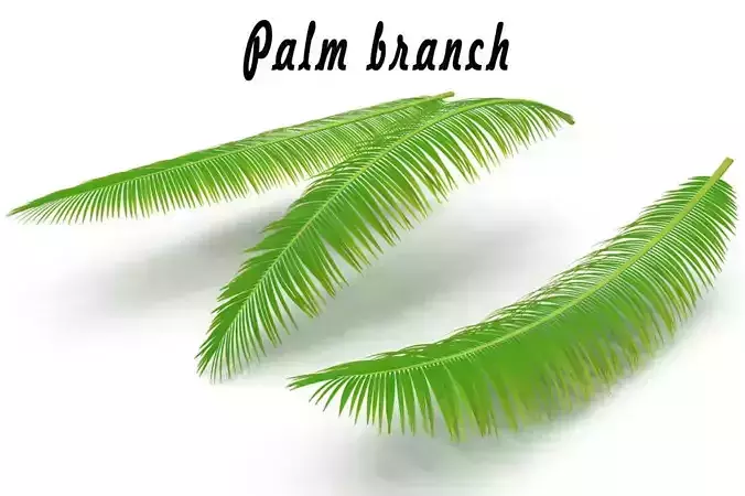 Palm branch 3D model