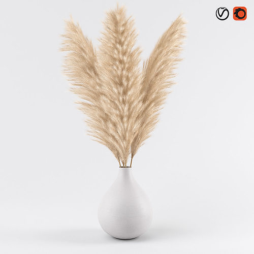 pampas in vase 02 3D model