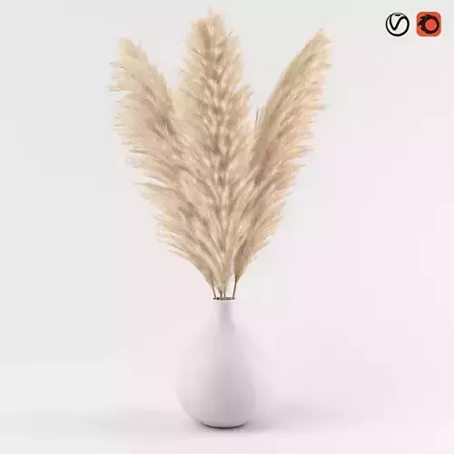 pampas in vase 02