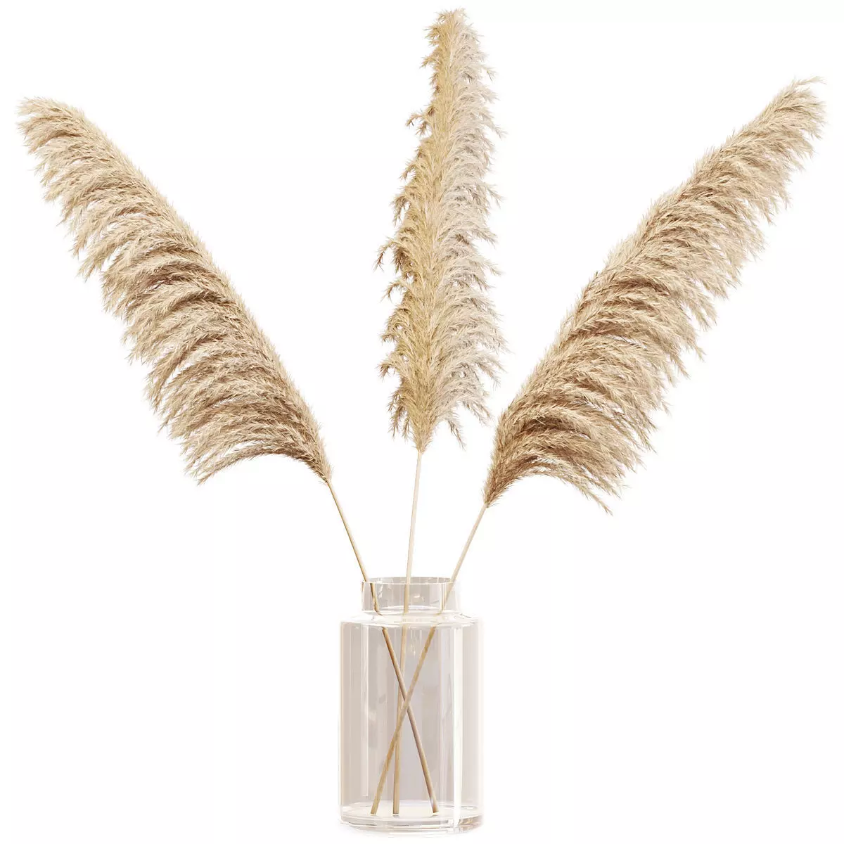 Dry branches of pampas grass in glass vase 3D model