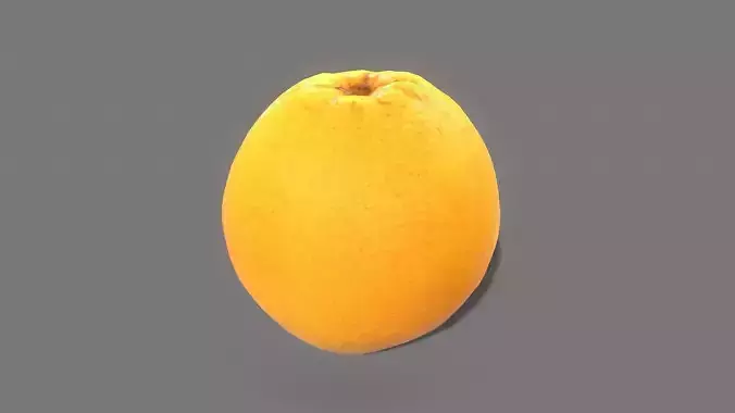 Orange Game Ready lemon