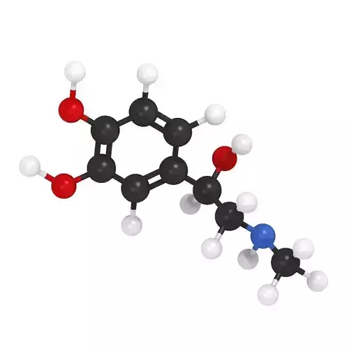 Epinephrine Molecule 3D model