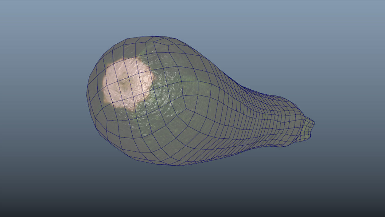 Vegetable Zucchini - Photoscanned PBR Low-poly 3D model_11