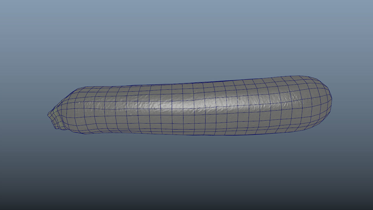 Vegetable Zucchini - Photoscanned PBR Low-poly 3D model_9