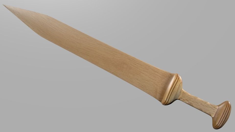 Training Sword 3D model_0