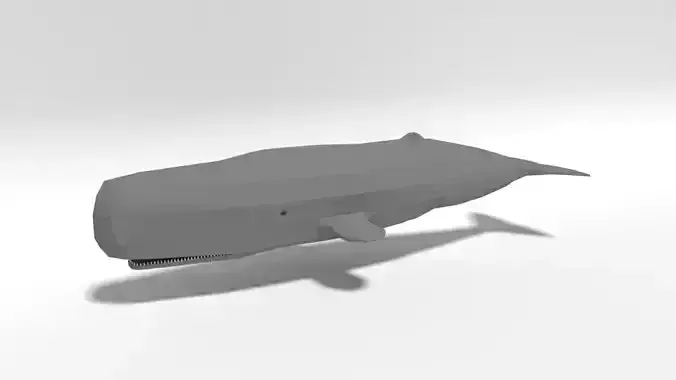 Low Poly Cartoon Sperm Whale  Low-poly 3D model