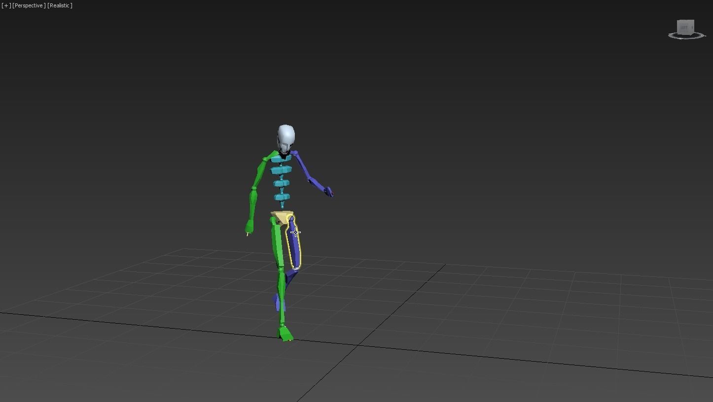 Backtuck 2 skeleton 3D model_2