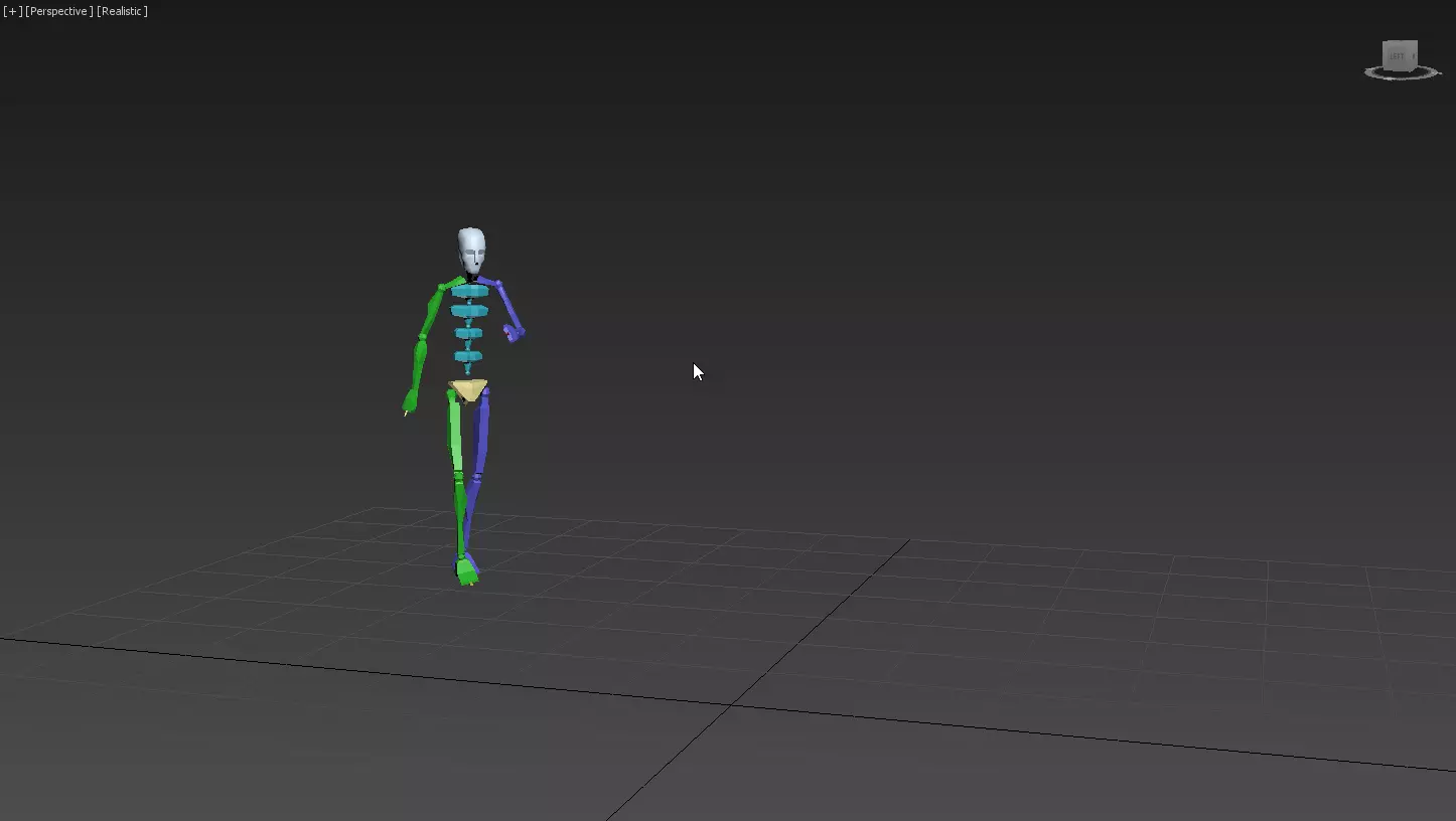 Backtuck 2 skeleton 3D model_0