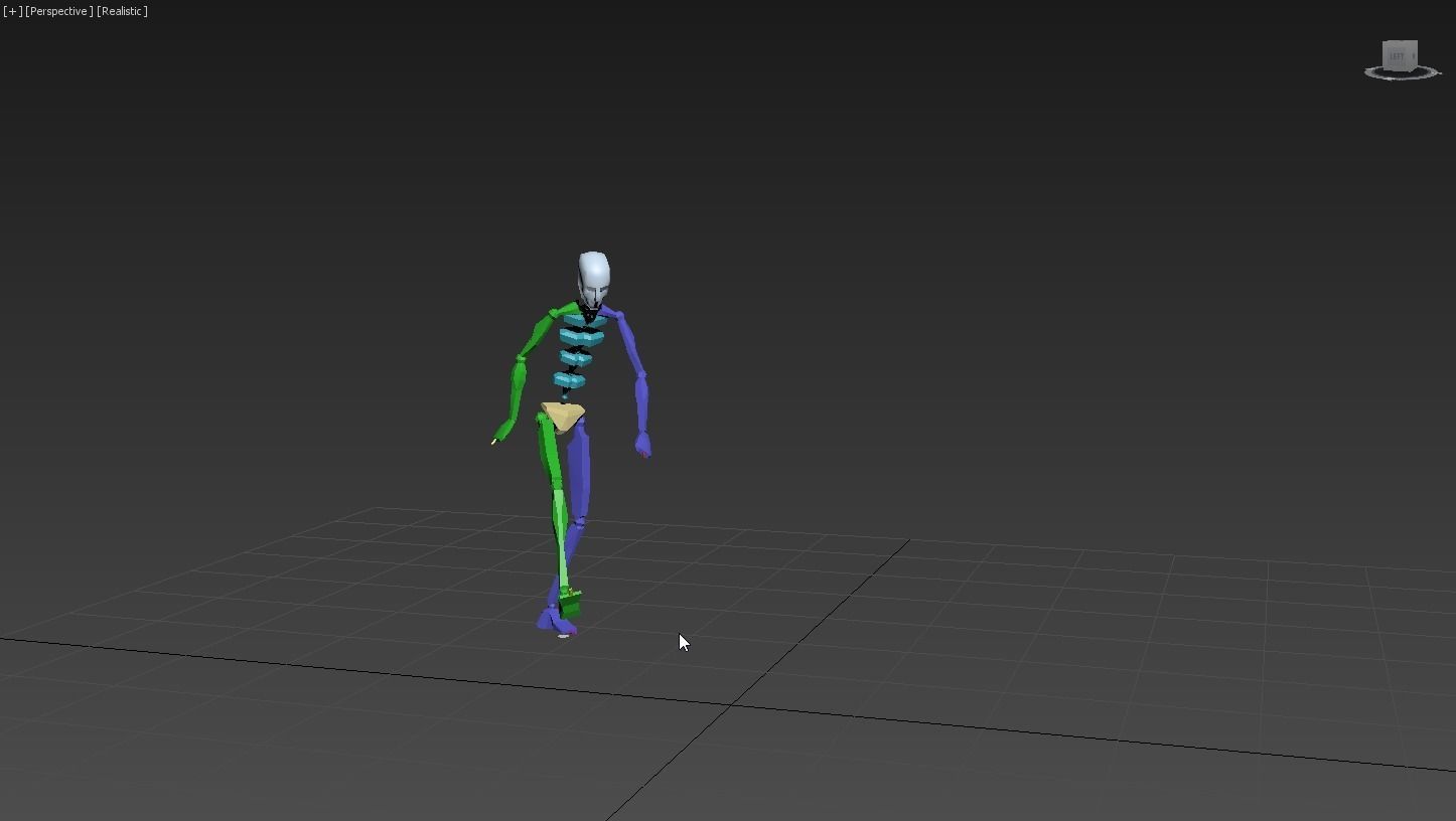 Backtuck 2 skeleton 3D model_11