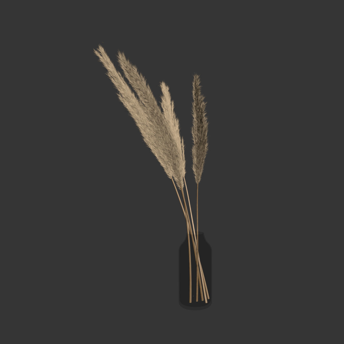 Dry branches of pampas grass in glass vase 4 3D model_3