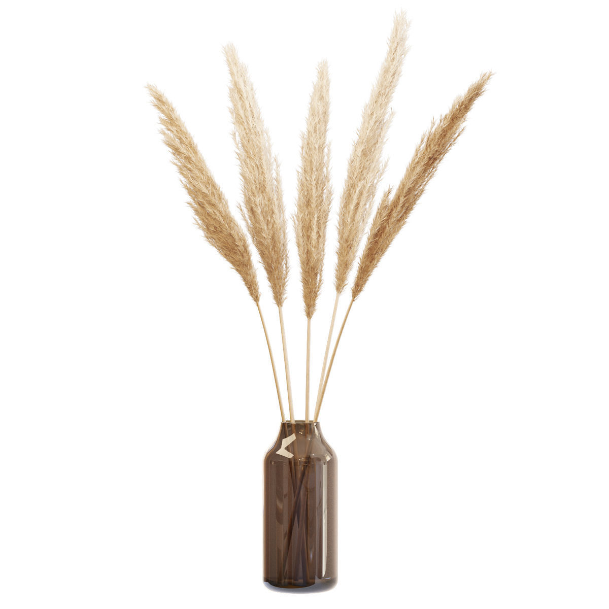Dry branches of pampas grass in glass vase 4 3D model_1