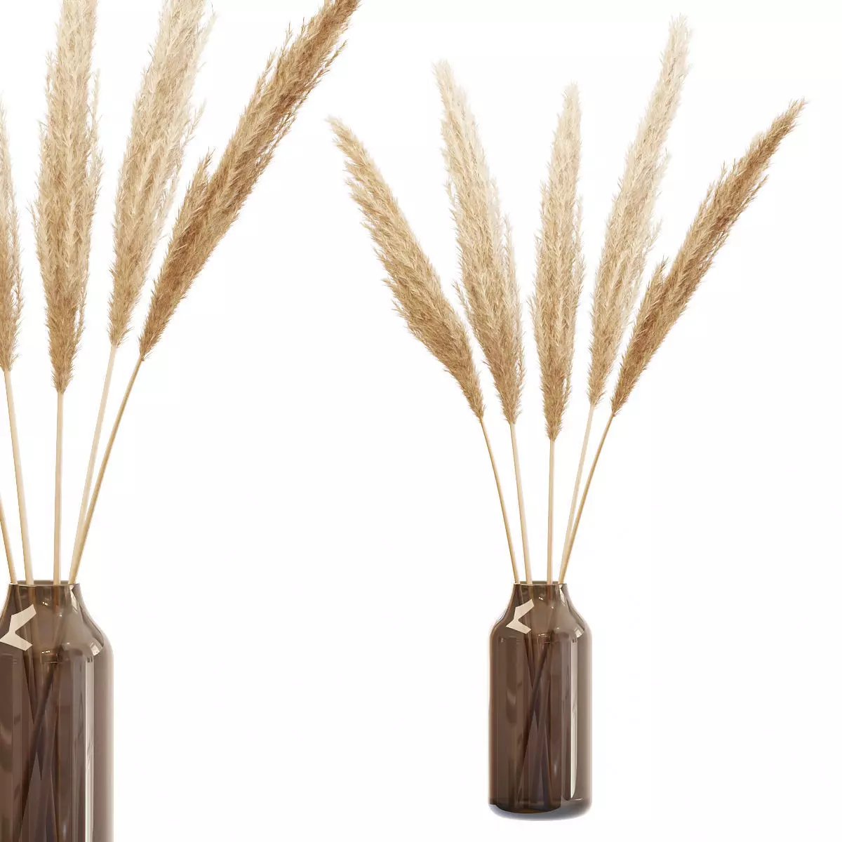 Dry branches of pampas grass in glass vase 4 3D model_0