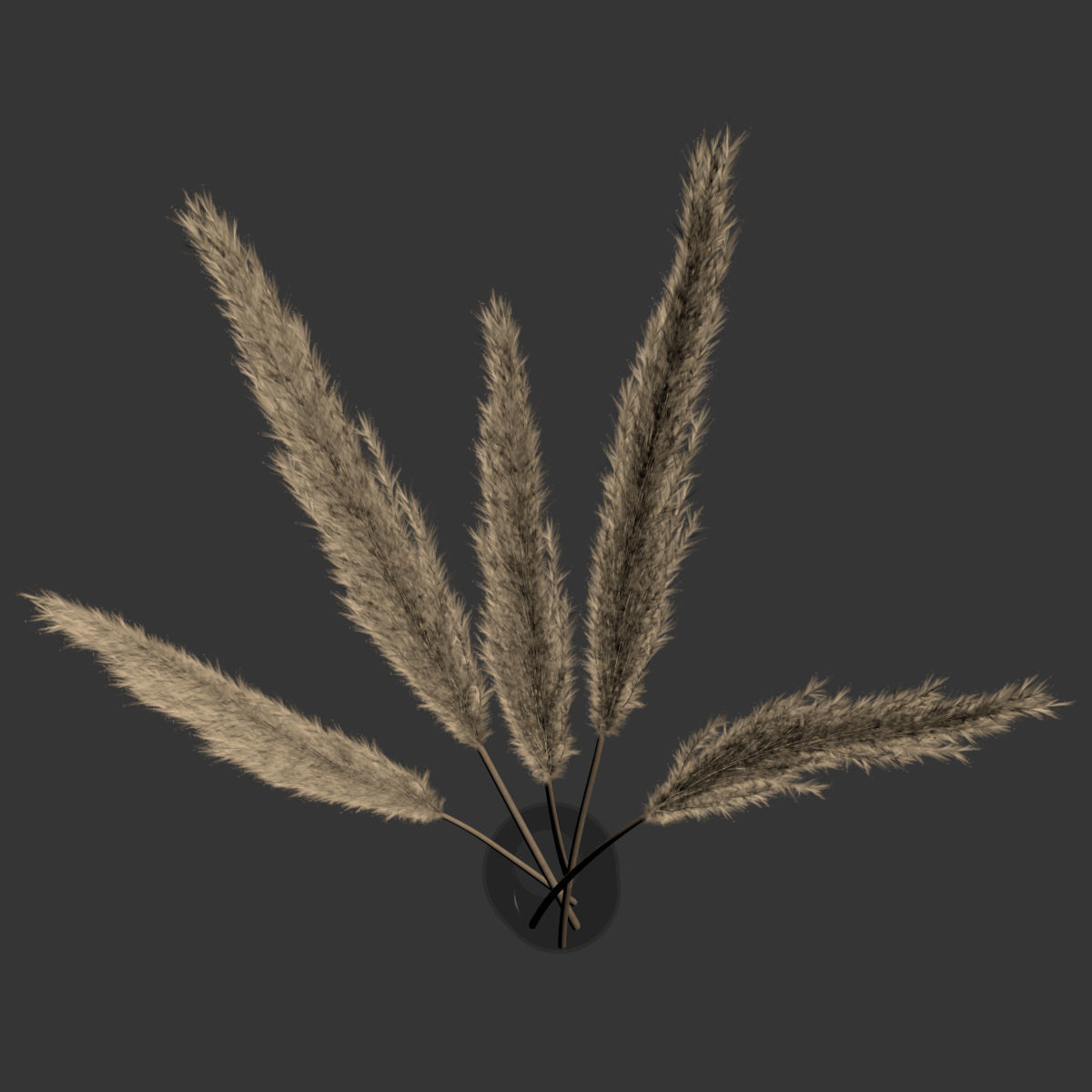 Dry branches of pampas grass in glass vase 4 3D model_4
