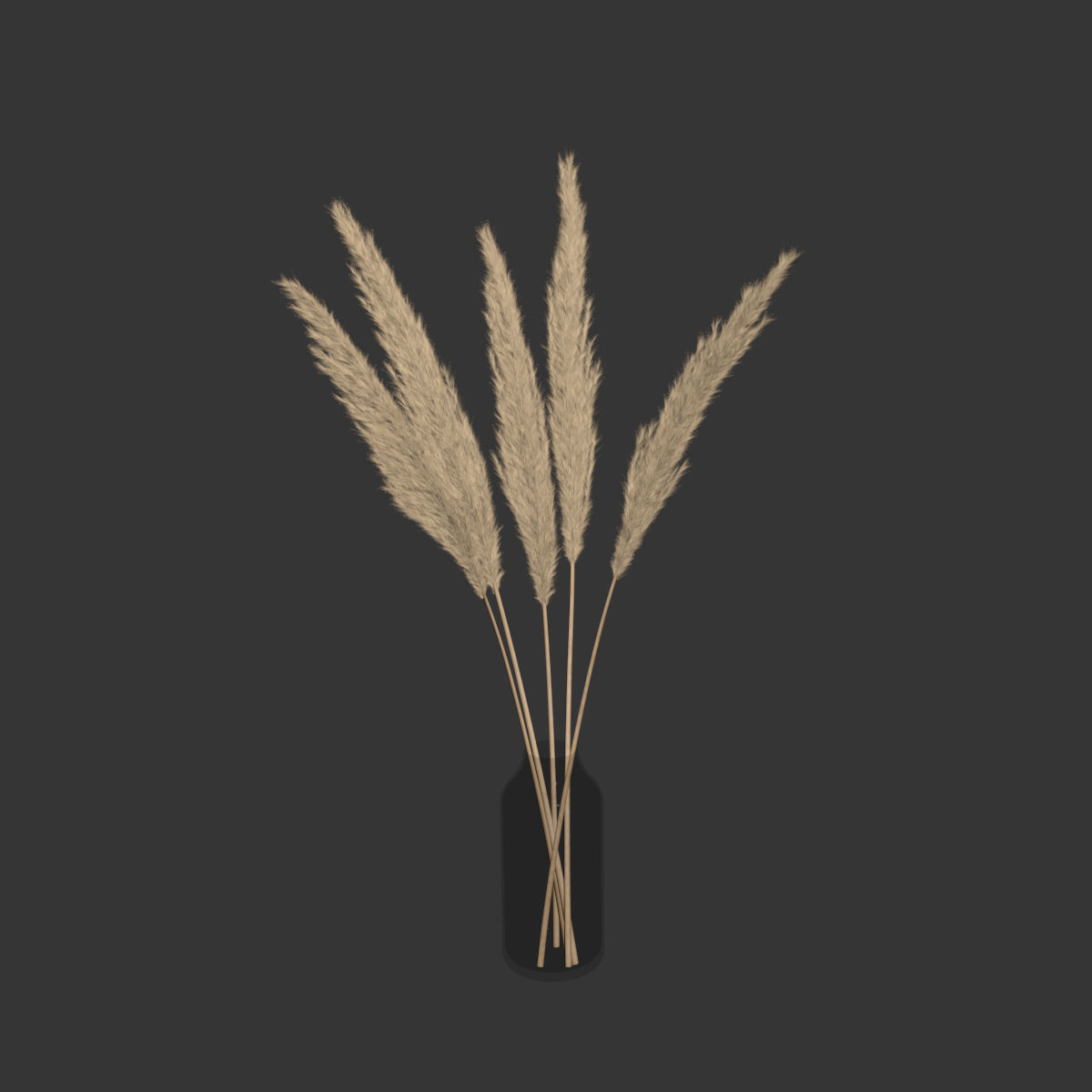Dry branches of pampas grass in glass vase 4 3D model_2